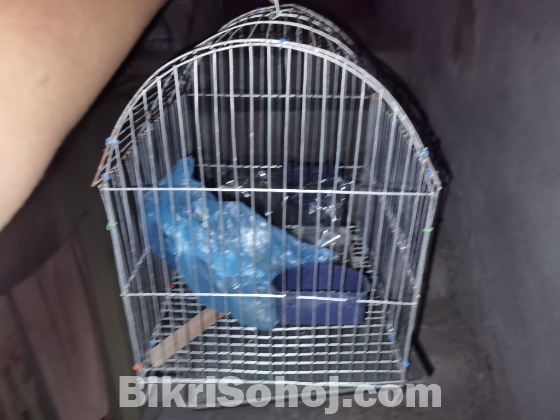 Bird cage for budgie